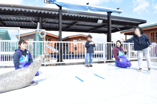 5月、8月：この輪っかごまちゃんにとーどけ！