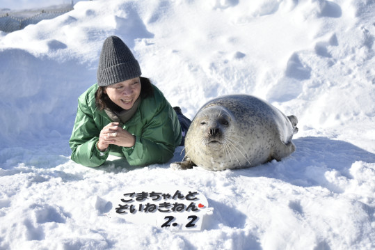 アグくんのお顔もチェックできます