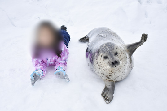 日和も少しだけ登場！