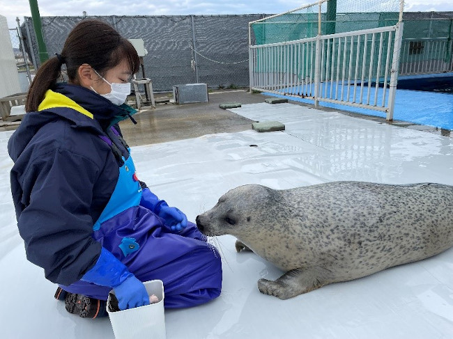 お魚が気になるアグ（笑）