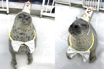 9月：2周年記念イベント