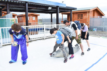 7月：ごまちゃんにくぐられ隊