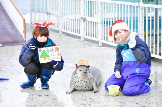 12月：クリスマスイベント