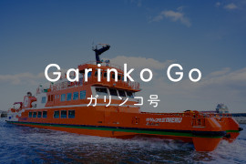 ガリンコ号