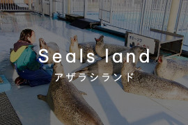 アザラシランド