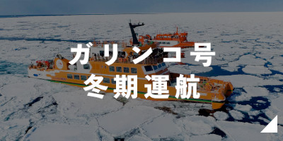 ガリンコ号冬期運航