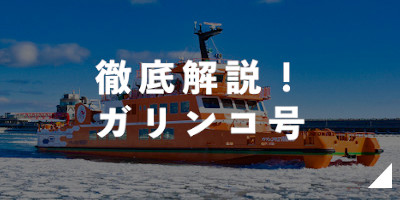 徹底解説！ガリンコ号