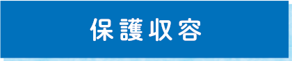 保護収容