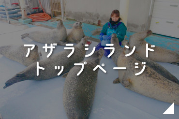アザラシランドトップページ