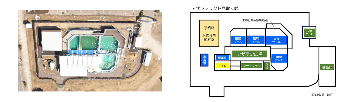アザラシランド施設図