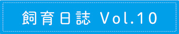 飼育日誌 Vol.10