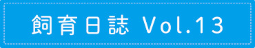 飼育日誌 Vol.13