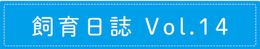 飼育日誌 Vol.14