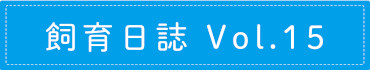 飼育日誌 Vol.15