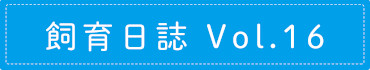 飼育日誌 Vol.16