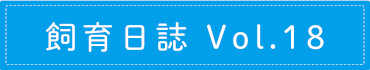 飼育日誌 Vol.18