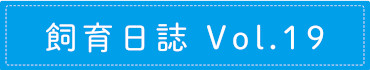 飼育日誌 Vol.19