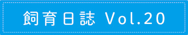 飼育日誌 Vol.20