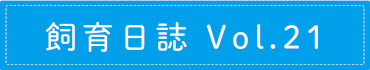 飼育日誌 Vol.21