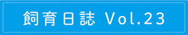 飼育日誌 Vol.23