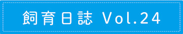 飼育日誌 Vol.24