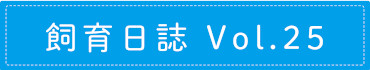 飼育日誌 Vol.25