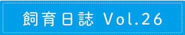 飼育日誌 Vol.26