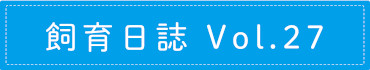 飼育日誌 Vol.27