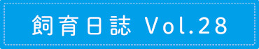 飼育日誌 Vol.28