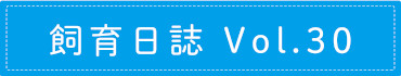 飼育日誌 Vol.30