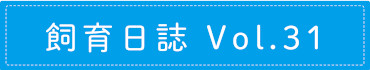 飼育日誌 Vol.31