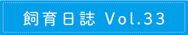飼育日誌 Vol.33