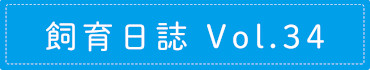 飼育日誌 Vol.34