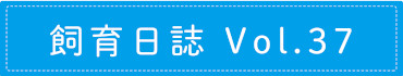 飼育日誌 Vol.37
