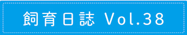 飼育日誌 Vol.38