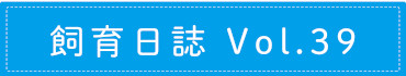 飼育日誌 Vol.39