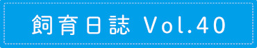 飼育日誌 Vol.40