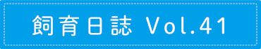 飼育日誌 Vol.41