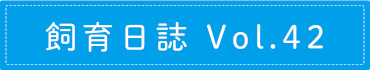 飼育日誌 Vol.42