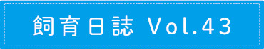 飼育日誌 Vol.43