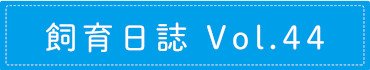 飼育日誌 Vol.44
