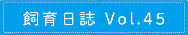 飼育日誌 Vol.45