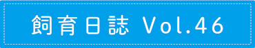 飼育日誌 Vol.46