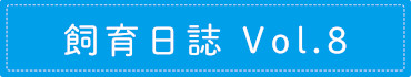 飼育日誌 Vol.8