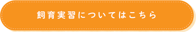 飼育実習についてはこちら