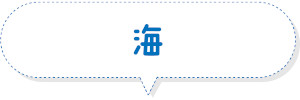 海