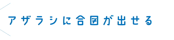 アザラシに合図が出せる