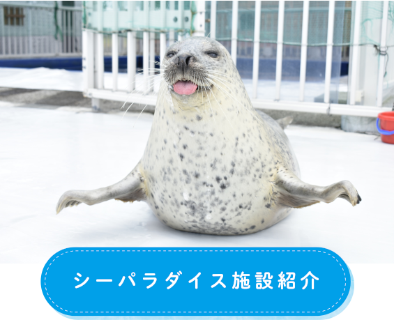 シーパラダイス施設紹介